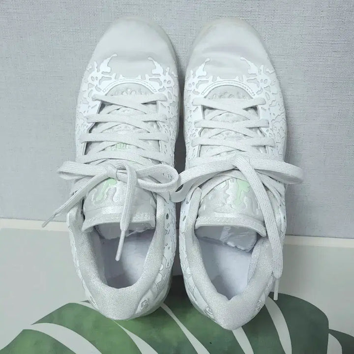 [BUNJANG] Nike Zion 3 White Basketball Shoes / 250)나이키 자이언 3 화이트 농구화