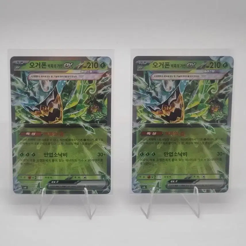 [BUNJANG] Pokemon Ogerpon Wellspring Mask EX Card Bundle Set / 포켓몬 오거폰 벽록의 가면 EX 카드 일괄 판매합니다.