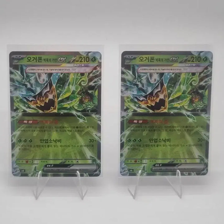 [BUNJANG] Pokemon Ogerpon Wellspring Mask EX Card Bundle Set / 포켓몬 오거폰 벽록의 가면 EX 카드 일괄 판매합니다.