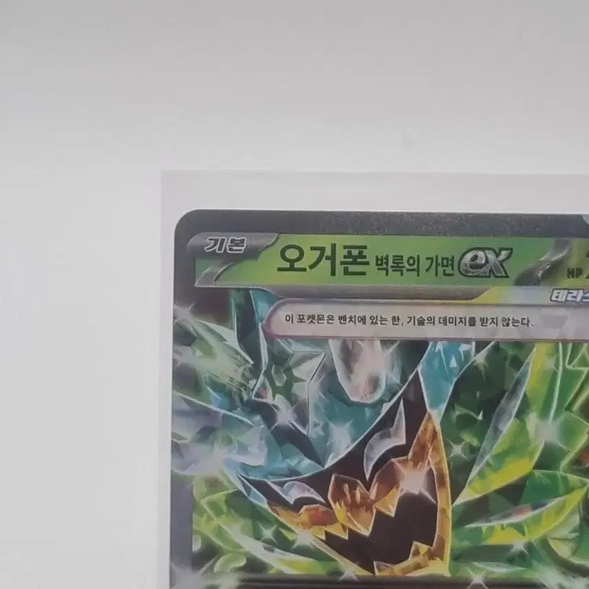 [BUNJANG] Pokemon Ogerpon Wellspring Mask EX Card Bundle Set / 포켓몬 오거폰 벽록의 가면 EX 카드 일괄 판매합니다.