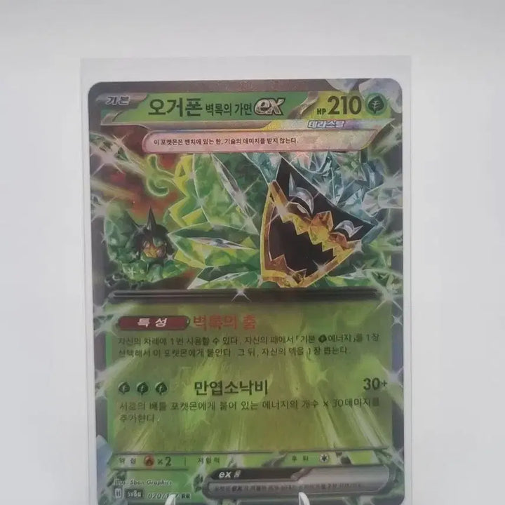 [BUNJANG] Pokemon Ogerpon Teal Mask ex Card / 포켓몬 오거폰 벽록의 가면 ex 카드 판매합니다.