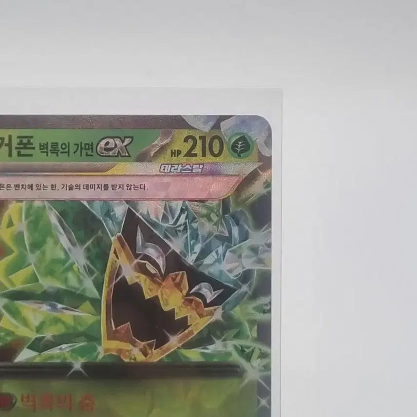 [BUNJANG] Pokemon Ogerpon Teal Mask ex Card / 포켓몬 오거폰 벽록의 가면 ex 카드 판매합니다.