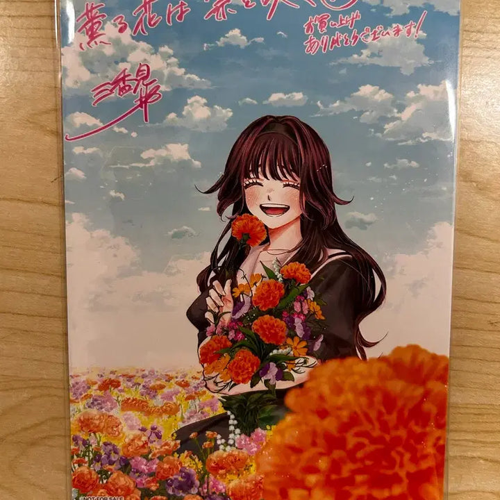 [BUNJANG] Fragrant Flower Blooms with Dignity Limited Edition Set / [일괄]향기로운 꽃은 늠름하게 핀다 일본 20권 한정 특전+ 뱃지 세트