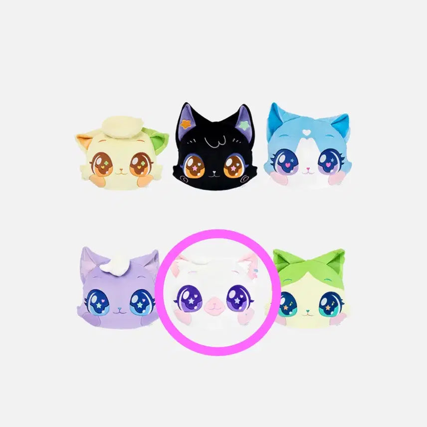 [SOLD OUT] 위시캣 X 엔시티 위시 뽀실냥 얼굴 쿠션