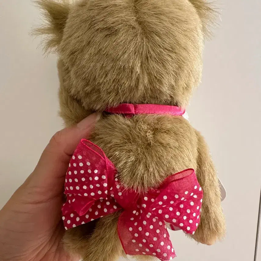 [SOLD OUT] 오토나랩 몬치치 JOL 몬치치 메루치치(S사이즈)