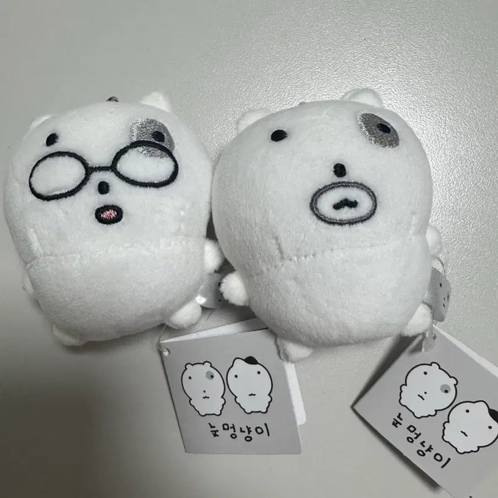 [SOLD OUT] 눈멍냥이 눈멍이 체력고갈 안경잽이 인형 키링 2종 세트