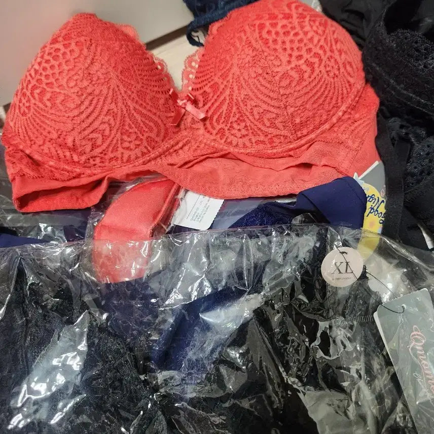 [BUNJANG] Qmomo Lace Bra Bundle Set / Qmomo 여성 레이스 브라 모음일괄