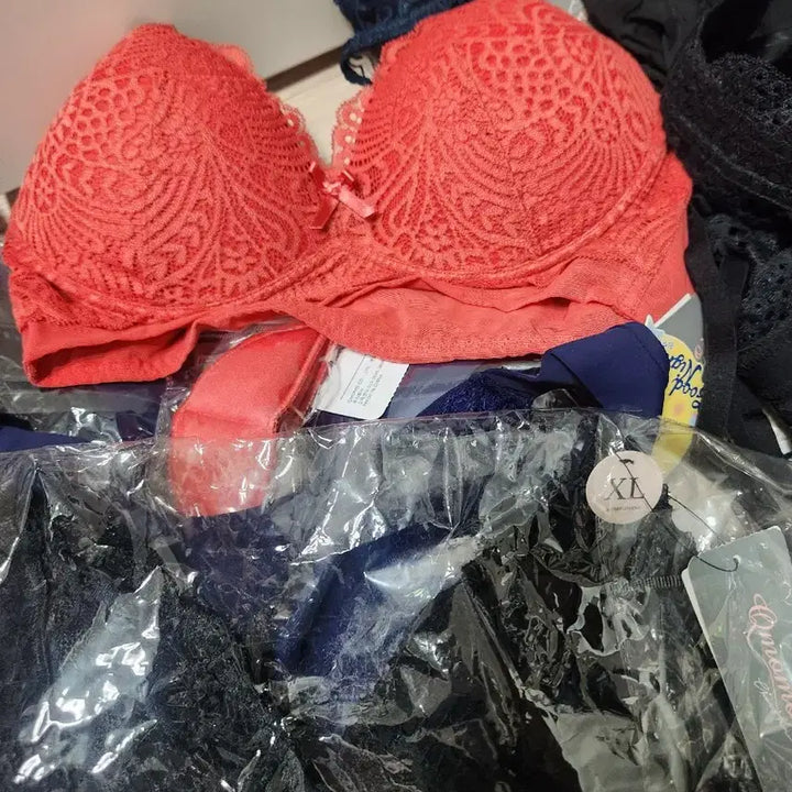 [BUNJANG] Qmomo Lace Bra Bundle Set / Qmomo 여성 레이스 브라 모음일괄