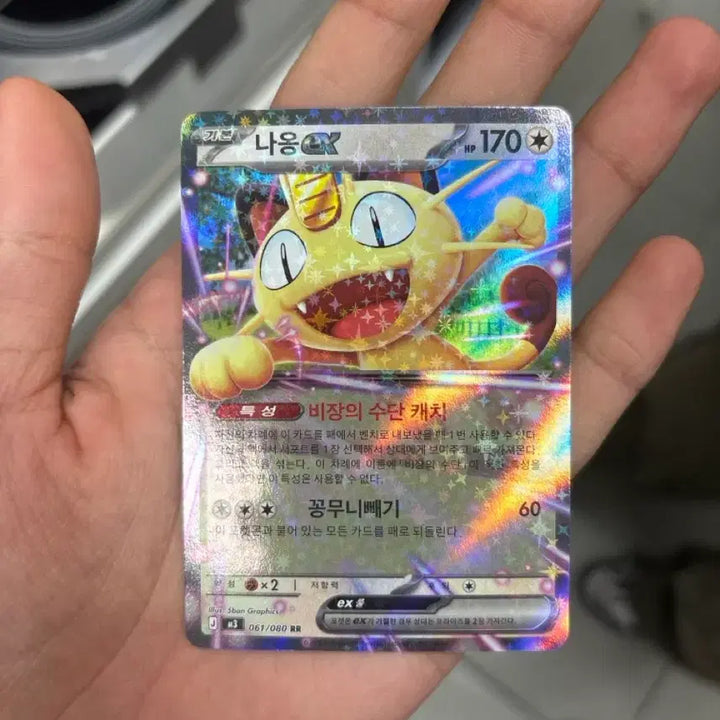 [SOLD OUT] 포켓몬 나옹 ex 카드