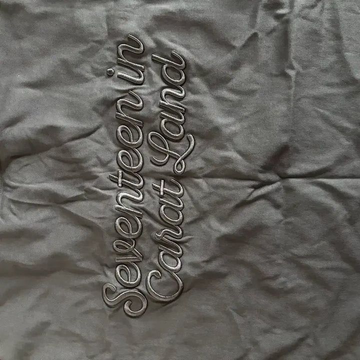 [BUNJANG] SEVENTEEN Caratland T-shirt / 세븐틴 캐럿랜드 반팔