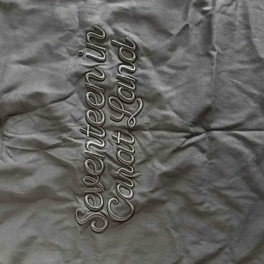 [BUNJANG] SEVENTEEN Caratland T-shirt / 세븐틴 캐럿랜드 반팔