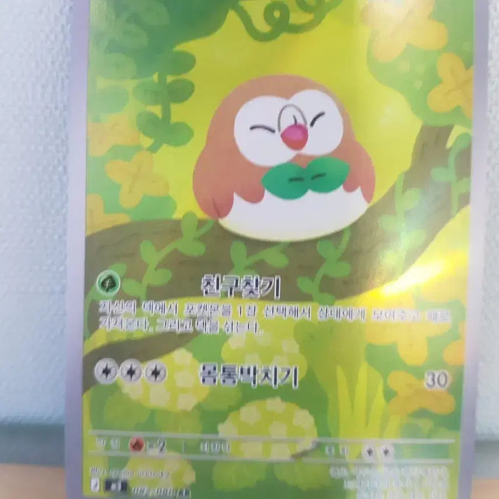 [BUNJANG] Pokemon AR Card Set / 포켓몬카드 AR 3종 입니다!