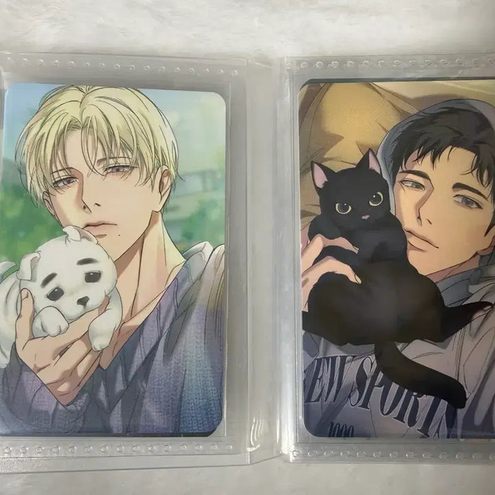 [SOLD OUT] 백라이트 컬포 드볼 + 캡슐아크릴