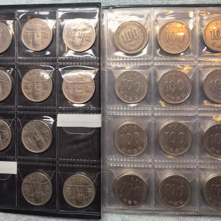[BUNJANG] 100 Won Coin Collection Album (1970-2019, 48 Types) / 100원 고급형 줄세우기 앨범 (1970-2019년 48종)
