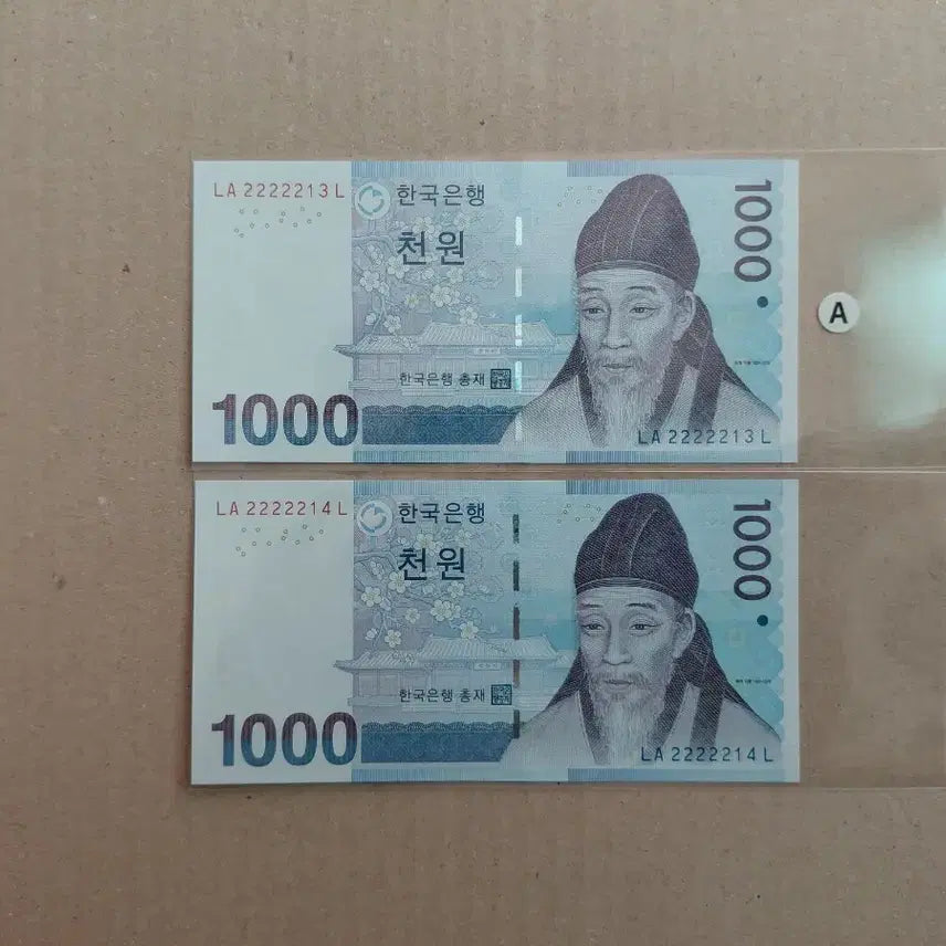 [SOLD OUT] 특이 연결 번호 (2종) 오리지널 [파이브카]