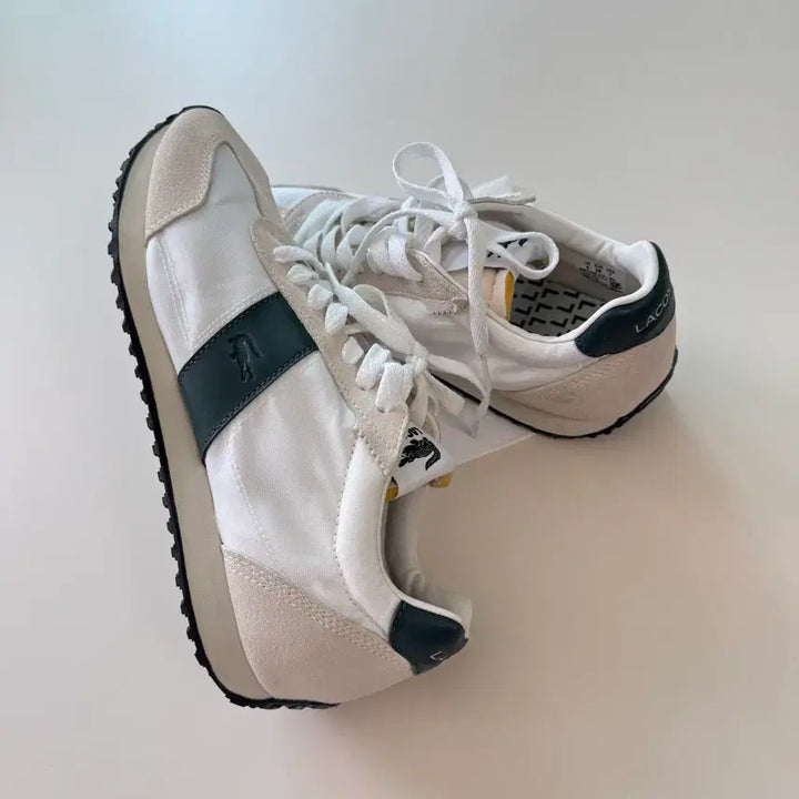 [SOLD OUT] 라코스테 화이트 그린 스니커즈 240mm 새상품(235도 가능할듯)