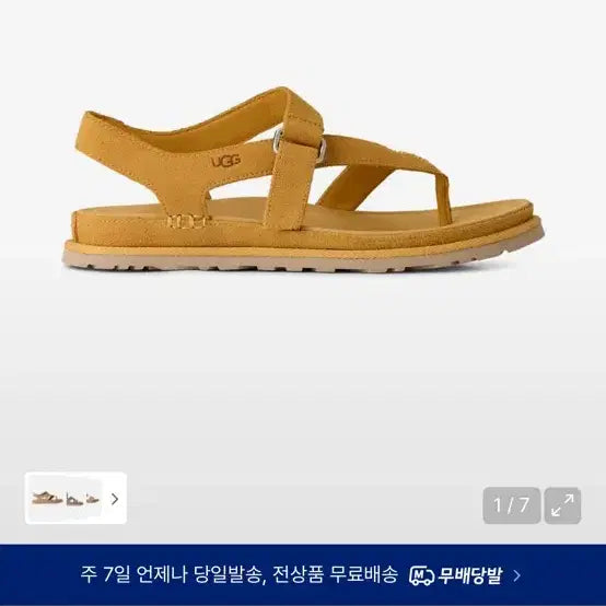 [SOLD OUT] UGG 어그 골든게이즈 토 포스트 샌들 240