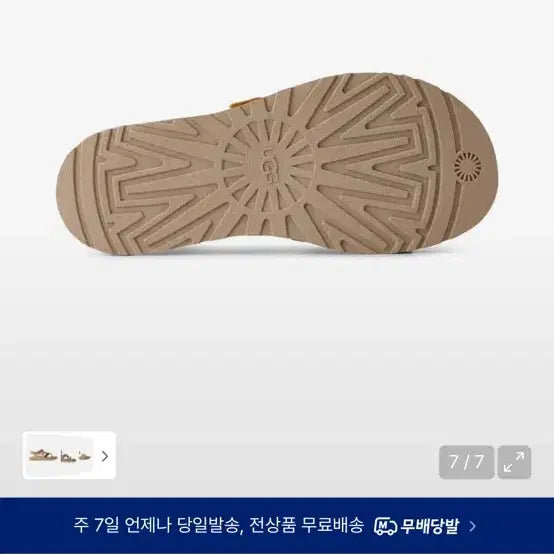 [SOLD OUT] UGG 어그 골든게이즈 토 포스트 샌들 240