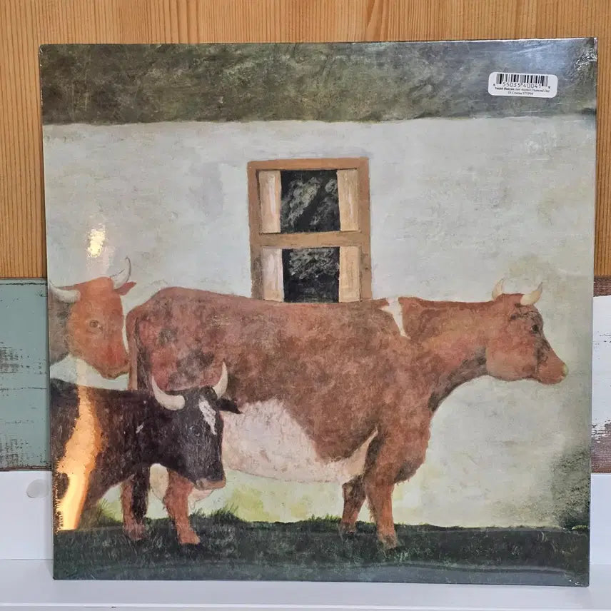 [BUNJANG] Vashti Bunyan - Just Another Diamond Day / Vashti Bunyan - Just Another Diamond Day