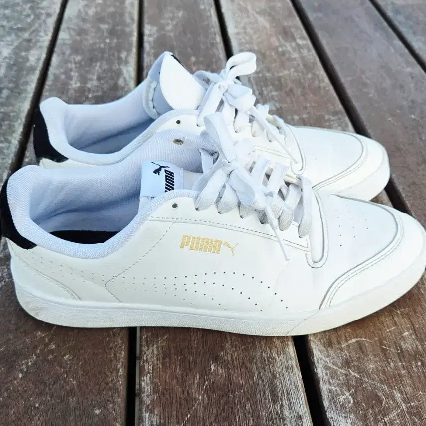 [SOLD OUT] 푸마 스니커즈