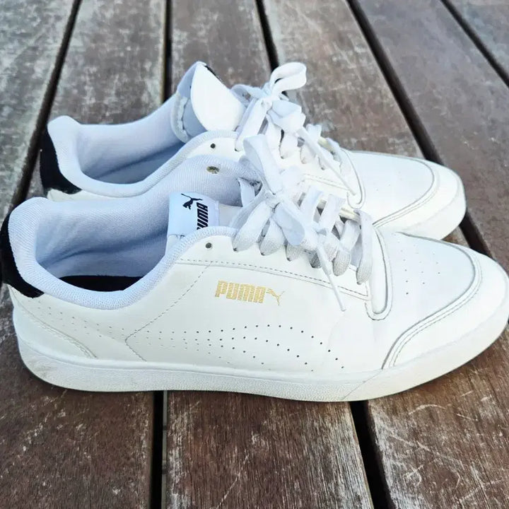 [SOLD OUT] 푸마 스니커즈