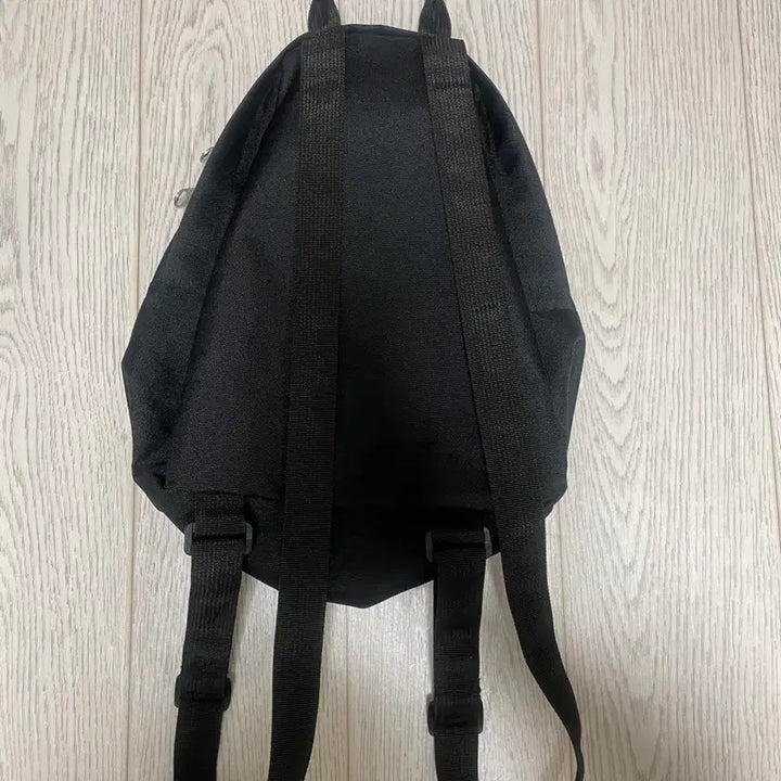 [SOLD OUT] 잔스포츠 미니백팩