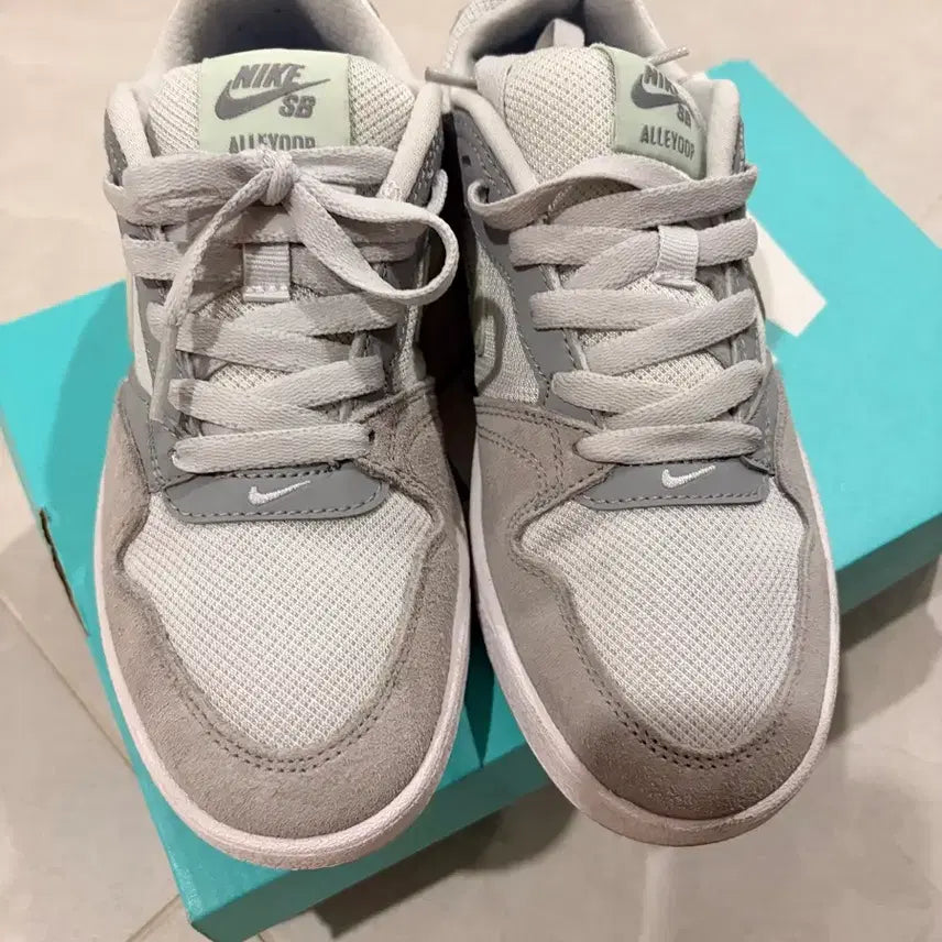 [BUNJANG] Nike SB Alleyoop 230 Sneakers / 나이키 SB 앨리웁 230 풀박