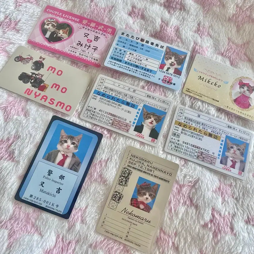 [BUNJANG] Nameneko Cats Collection Bundle Set / 일괄 나메네코 고양이 포토카드 폭주족 일본 소품 가챠 고전 산리오