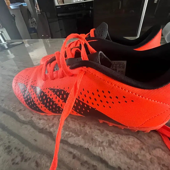 [BUNJANG] Adidas Predator Futsal Shoes / 아디다스 프레데터 풋살화