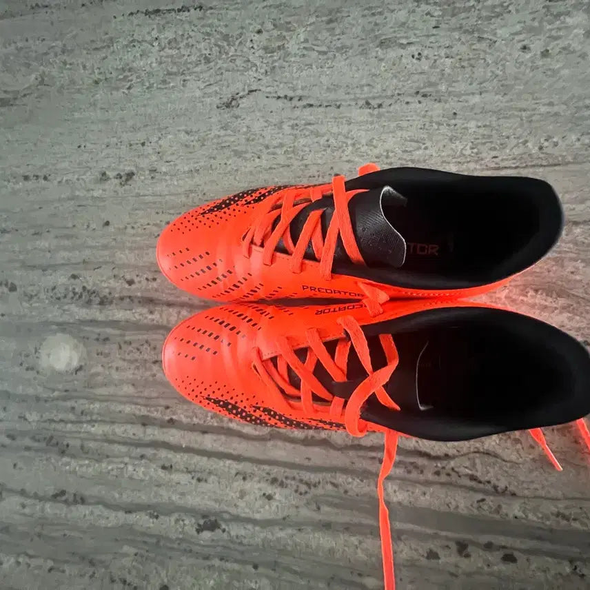 [BUNJANG] Adidas Predator Futsal Shoes / 아디다스 프레데터 풋살화
