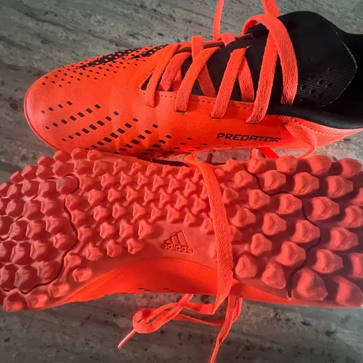 [BUNJANG] Adidas Predator Futsal Shoes / 아디다스 프레데터 풋살화