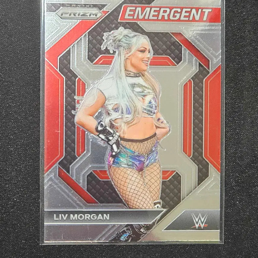 [BUNJANG] 2024 파니니 프리즘 WWE 리브 모건 이머전트 실버 / 2024 파니니 프리즘 WWE 리브 모건 이머전트 실버