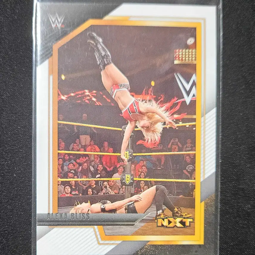 [BUNJANG] 2022 파니니 wwe nxt 알렉사 블리스 베이스 / 2022 파니니 wwe nxt 알렉사 블리스 베이스