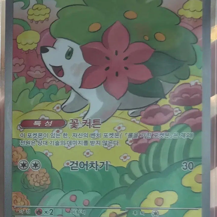 [BUNJANG] 열풍의 아레나 SAR, AR (심향의 모험, 쉐이미, 암팰리스, 라프라스 / 열풍의 아레나 SAR, AR (심향의 모험, 쉐이미, 암팰리스, 라프라스
