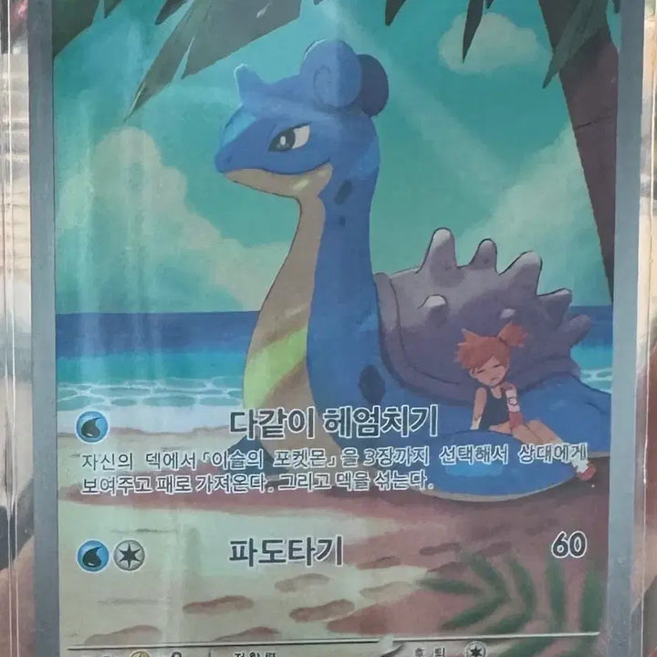 [BUNJANG] 열풍의 아레나 SAR, AR (심향의 모험, 쉐이미, 암팰리스, 라프라스 / 열풍의 아레나 SAR, AR (심향의 모험, 쉐이미, 암팰리스, 라프라스