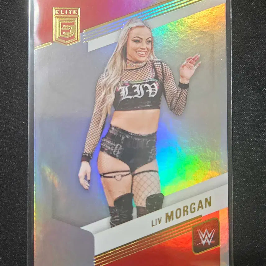 [BUNJANG] Donruss Elite Liv Morgan WWE Trading Card / 2023 돈러스 엘리트 WWE 리브 모건