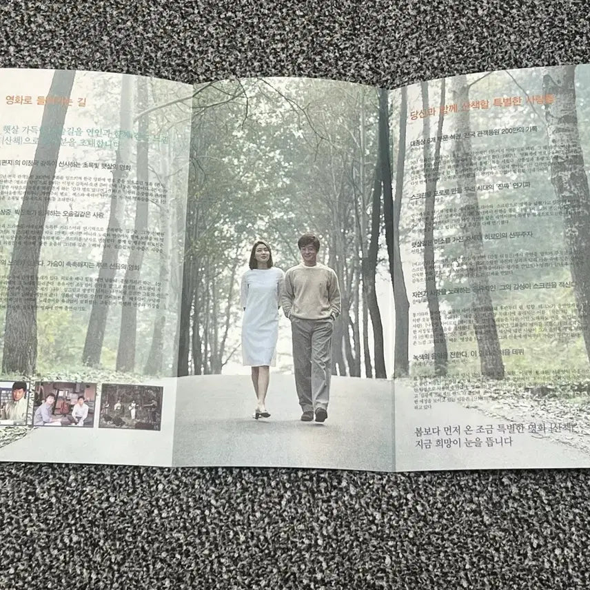 [BUNJANG] 산책 영화 전단지 (김상중, 박진희) / 산책 영화 전단지 (김상중, 박진희)