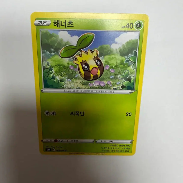 [BUNJANG] Hana-tsu Pokemon Card / 해너츠 포켓몬카드