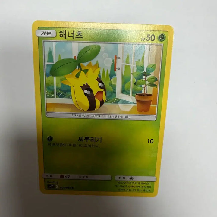 [BUNJANG] Hanaeats Pokemon Card / 해너츠 포켓몬카드