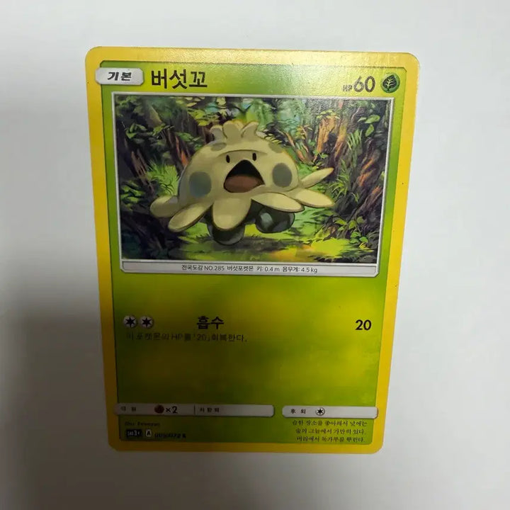 [BUNJANG] Pokemon Mushroom Pokemon Card / 버섯꼬 포켓몬카드