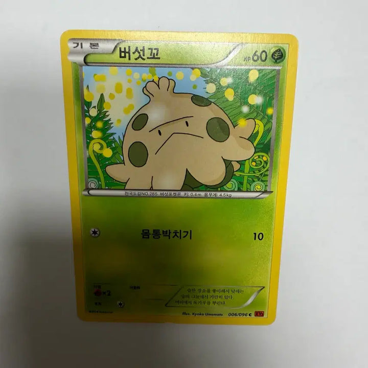 [BUNJANG] Burseotkko Pokemon Card / 버섯꼬 포켓몬카드
