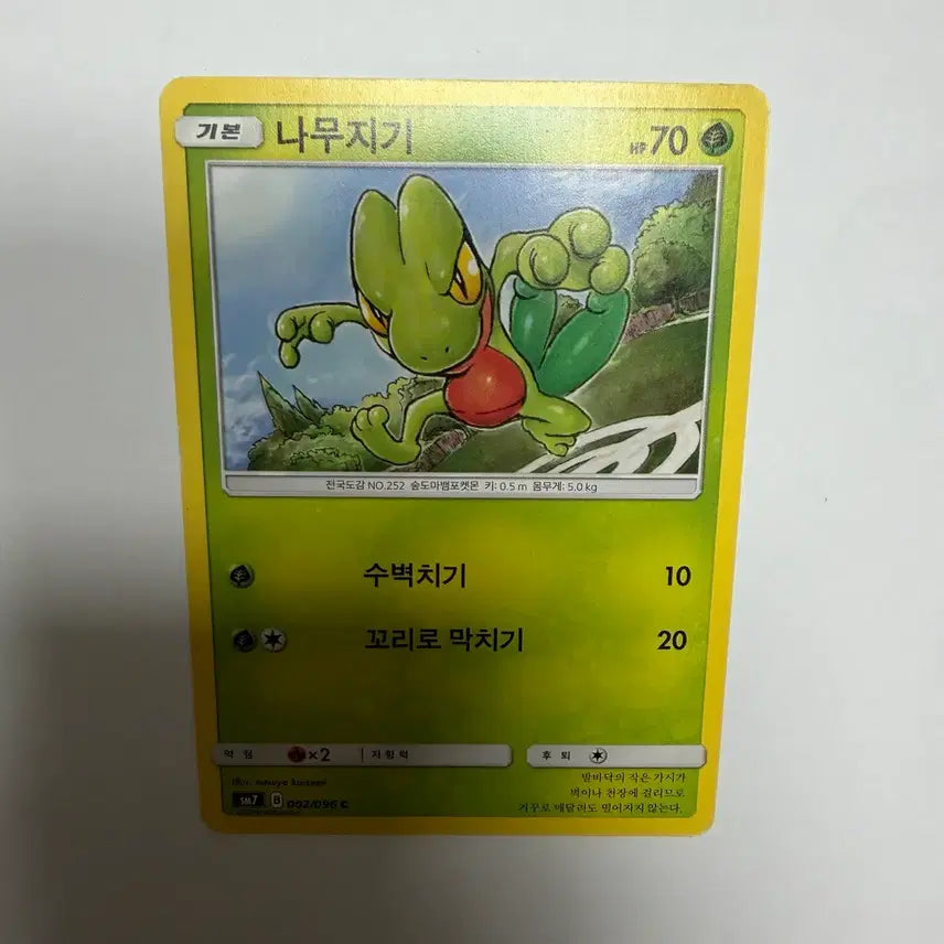 [BUNJANG] Pokemon Treecko Card / 나무지기 포켓몬카드