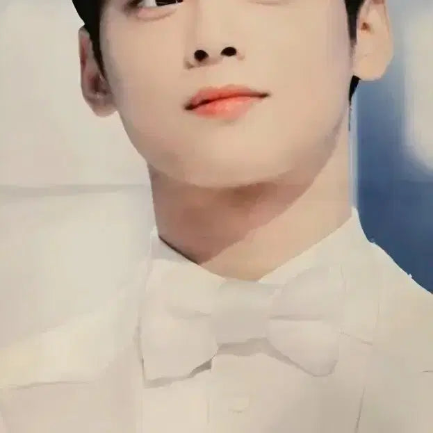 [BUNJANG] ASTRO Cha Eunwoo Slogan / 아스트로 차은우 슬로건