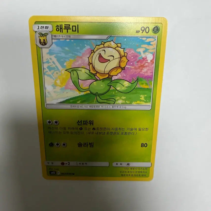 [BUNJANG] Haerumi Pokemon Card / 해루미 포켓몬카드