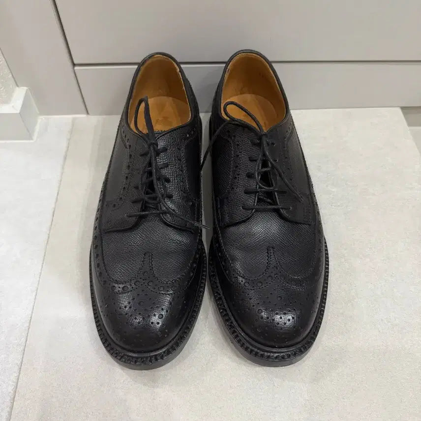 [SOLD OUT] 버윅 윙팁 4794