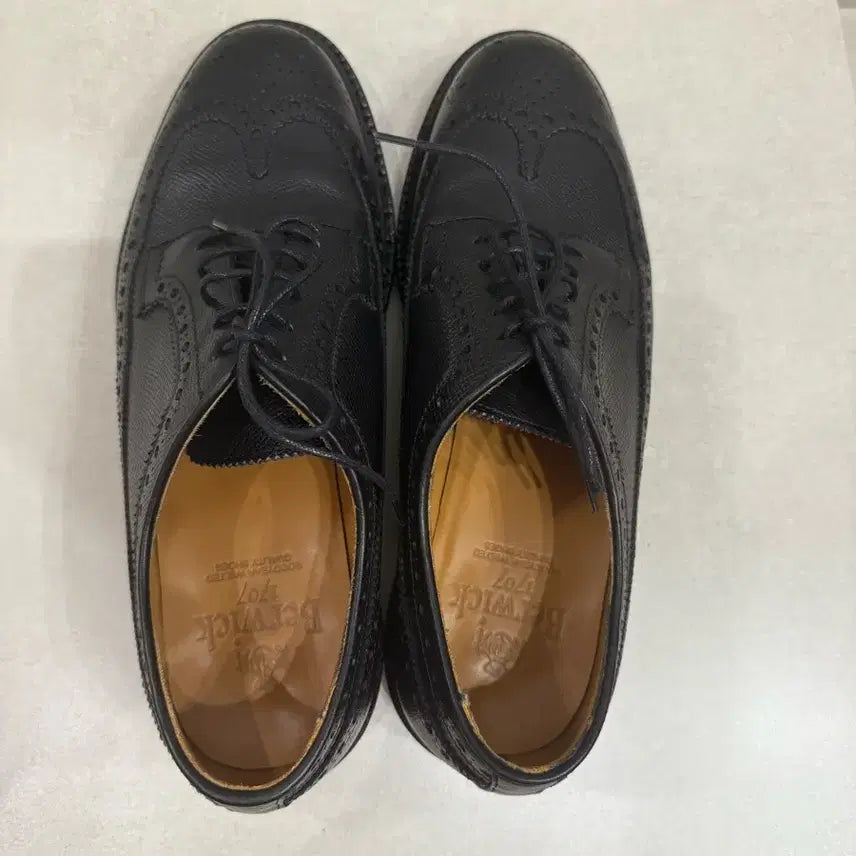 [SOLD OUT] 버윅 윙팁 4794