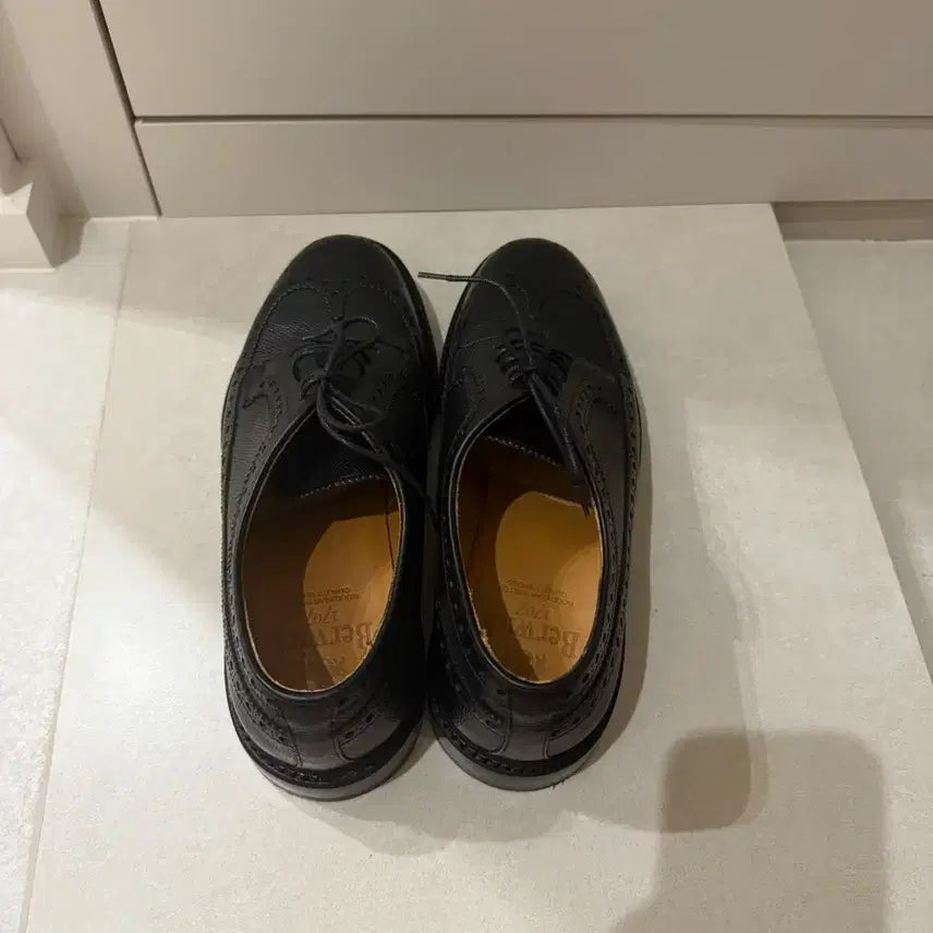 [SOLD OUT] 버윅 윙팁 4794