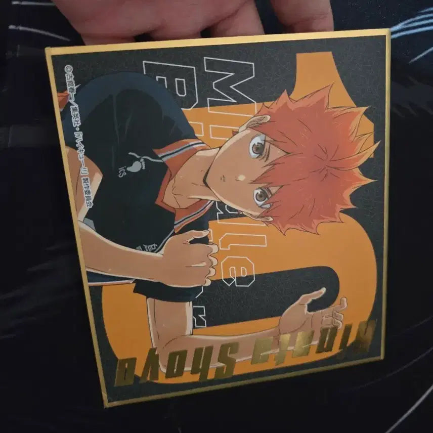 [BUNJANG] Haikyu!! Hinata Shoyo Goods / 하이큐!! 히나타 쇼요 굿즈