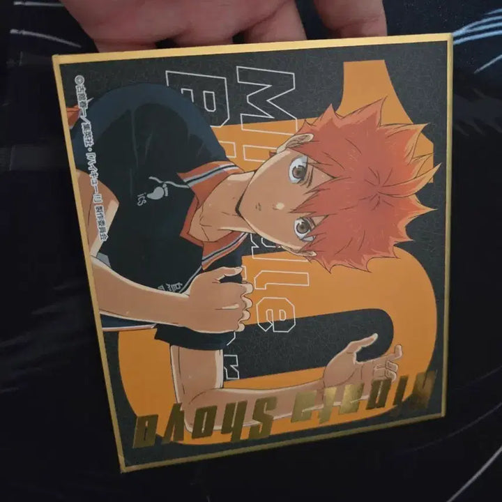[BUNJANG] Haikyu!! Hinata Shoyo Goods / 하이큐!! 히나타 쇼요 굿즈
