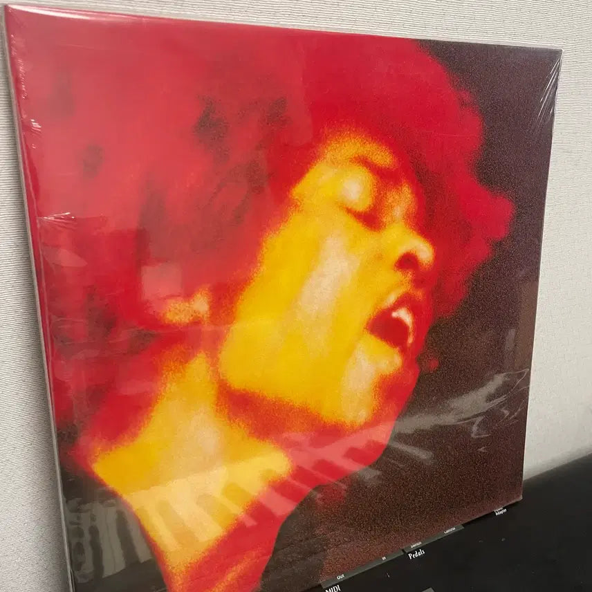 [SOLD OUT] 지미 핸드릭스 일렉트릭 레이디 랜드 LP 바이닐 미개봉